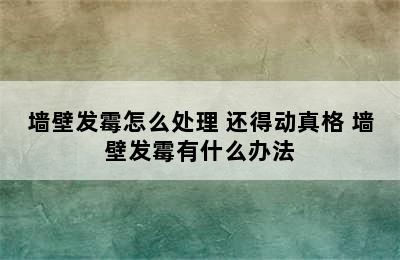 墙壁发霉怎么处理 还得动真格 墙壁发霉有什么办法